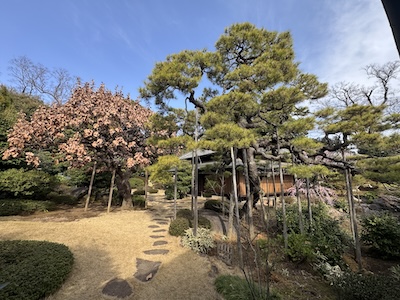 書院前庭Shoin maeniwa